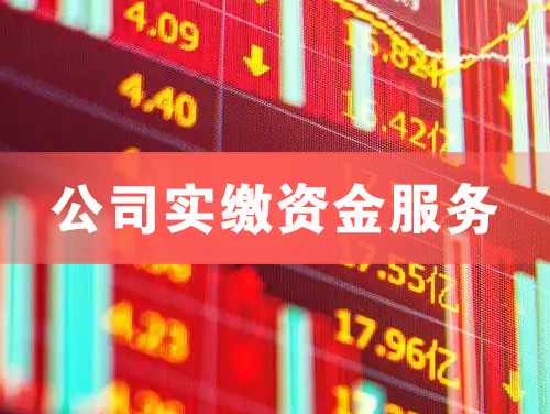 海伦公司实缴资金服务