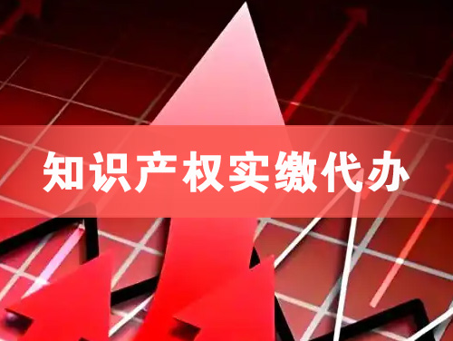 海伦知识产权实缴资本代办
